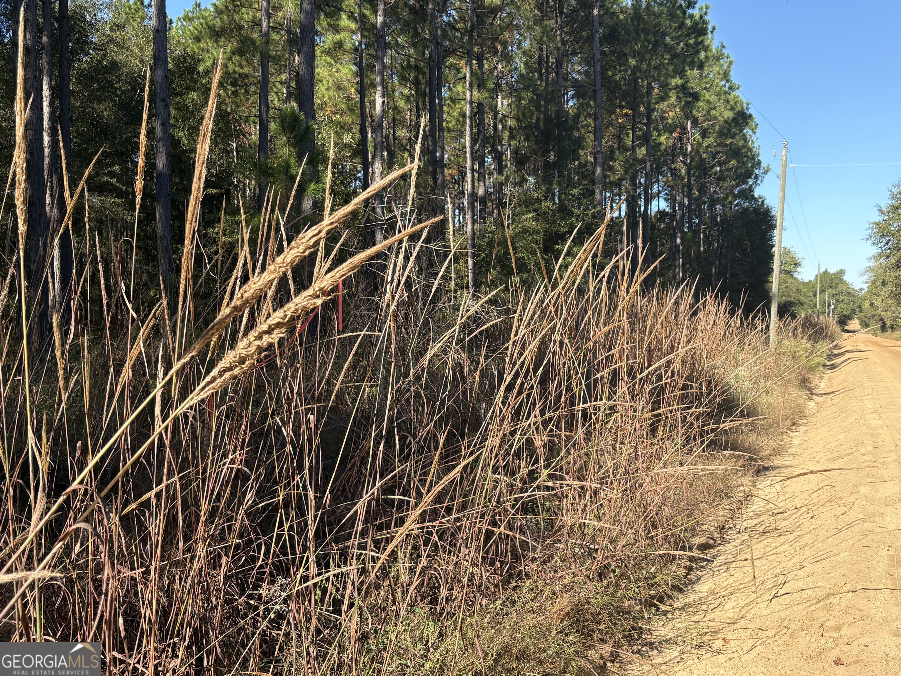 2457 Guy Weatherly Road Cadwell, GA 31009 - Photo 2 of 2 a view of a yard of a building