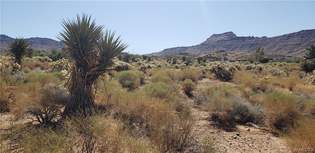 Tbd North Klagetoh Road Golden Valley, AZ 86413 - Photo 1 of 15 Gallery Image 1