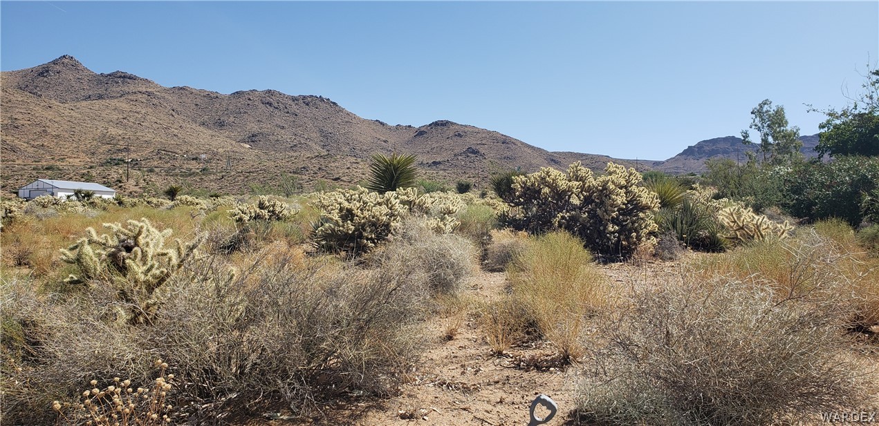 Tbd North Klagetoh Road Golden Valley, AZ 86413 - Photo 7 of 15 Gallery Image 7