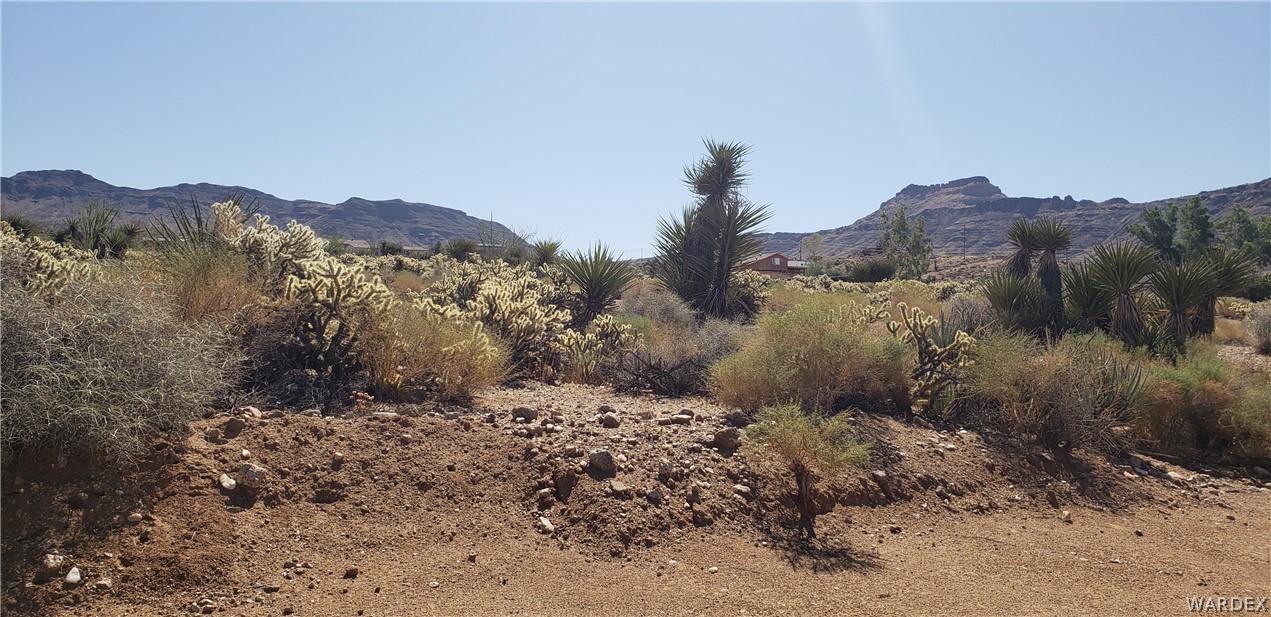Tbd North Klagetoh Road Golden Valley, AZ 86413 - Photo 8 of 15 Gallery Image 8