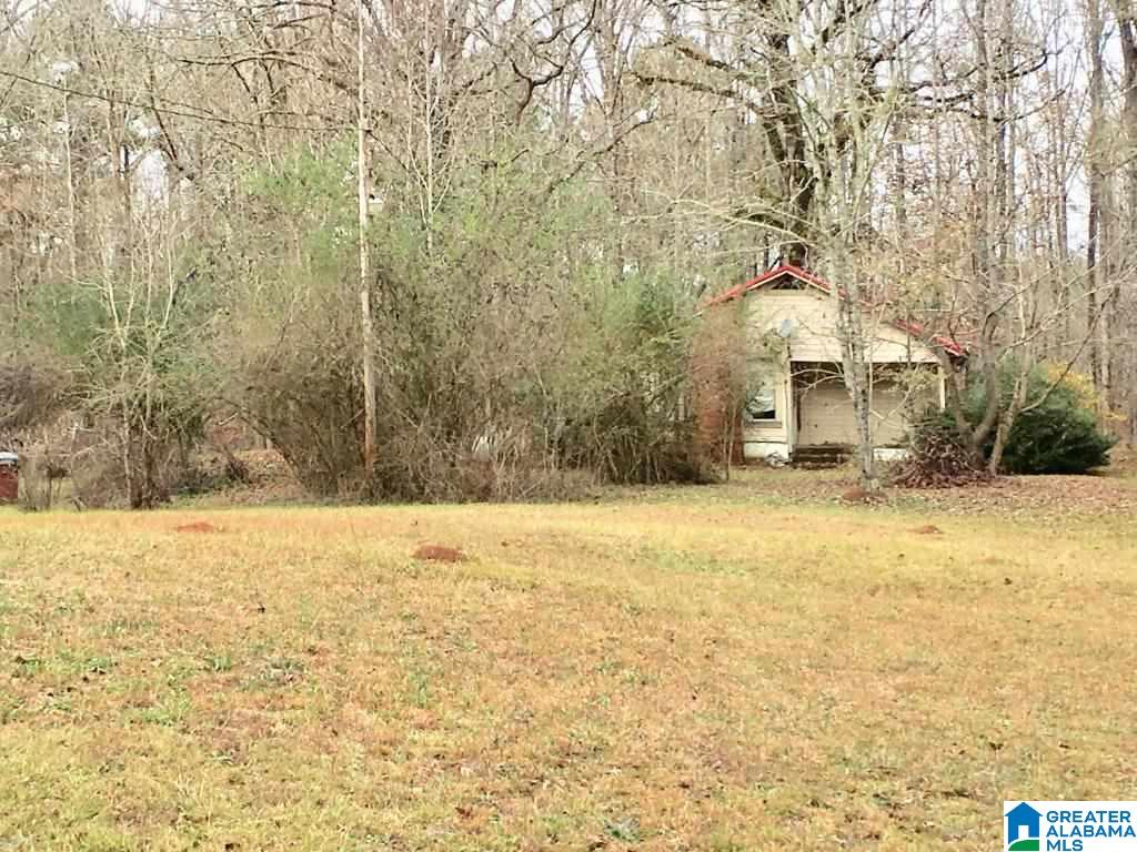 3972 Ccc Road Rockford, AL 35136 - Photo 1 of 15