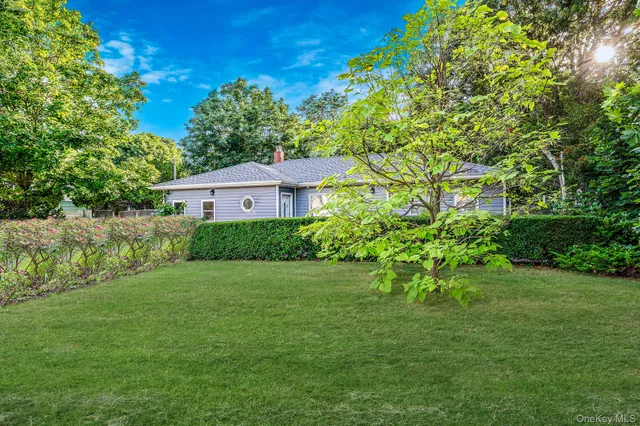 a backyard of a house with plants and large trees