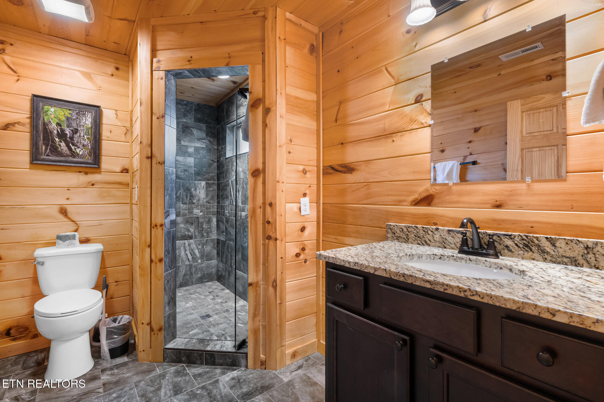 2804 Murray Ridge Road Sevierville, TN 37876 - Photo 27 of 46 dsc04306