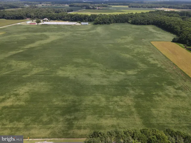 $189,000 | Lot 4 Woodland Ferry Road, Seaford, DE 19973