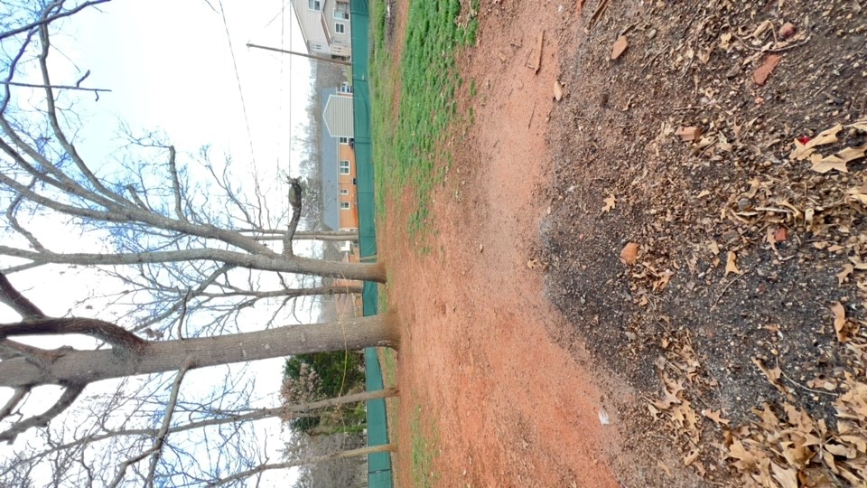 2316 Old Williamston Road Anderson, SC 29621 - Photo 10 of 10 This spacious yard provides a natural canvas for outdoor living and landscape design.