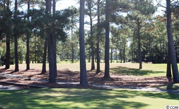 1604 Belle Ridge Court Conway, SC 29526 - Photo 15 of 20 Gallery Image 15