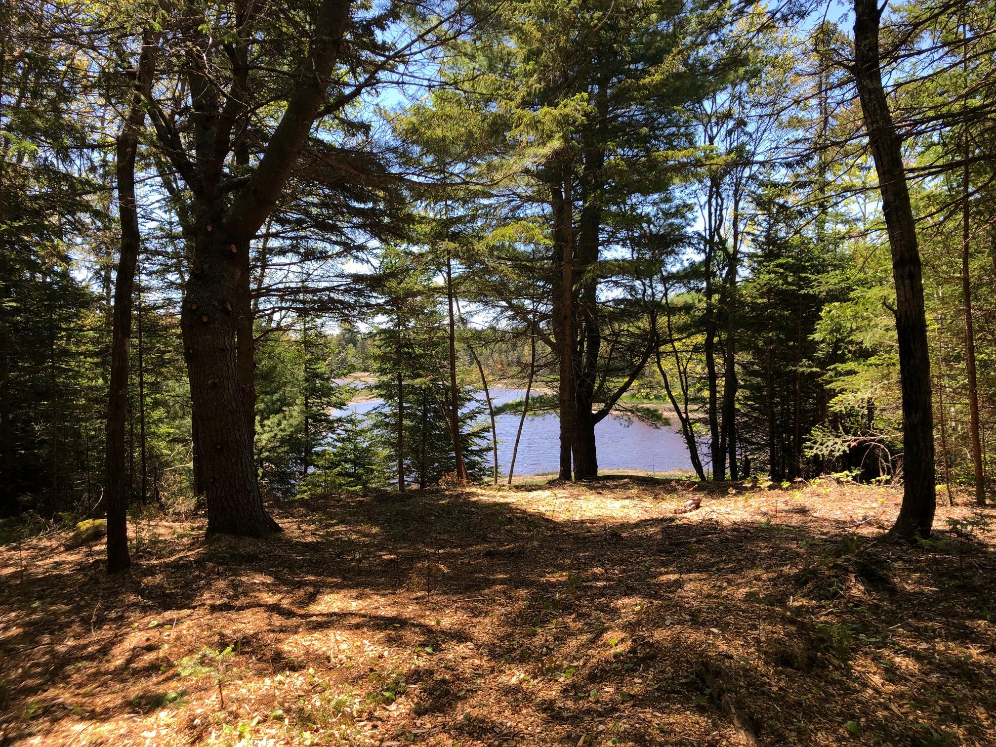 A Chicken Mill Pond Road Gouldsboro, ME 04607 - Photo 2 of 6 IMG_0819