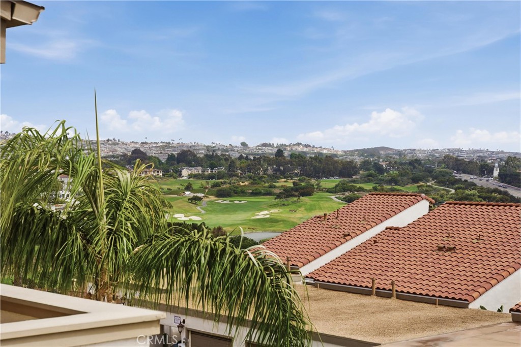 23281 Atlantis Way Dana Point, CA 92629 - Photo 35 of 81 a view of a yard with plants and palm trees