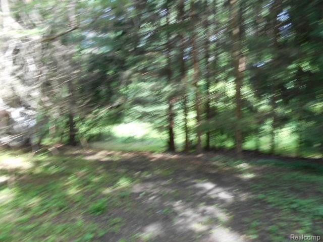 13420 Riker Road Chelsea, MI 48118 - Photo 3 of 37 DSCN1586.JPG