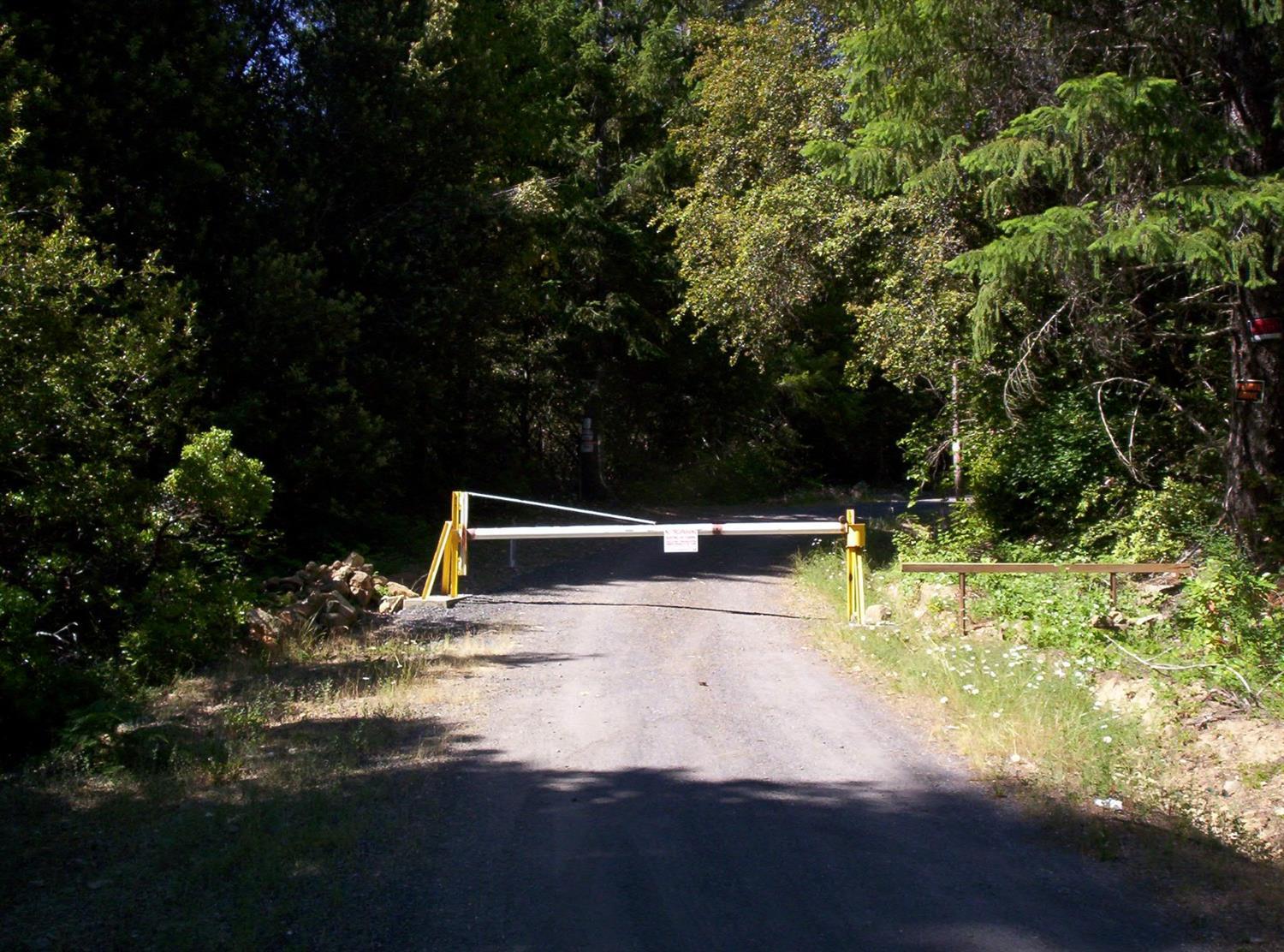 0 French Peak Road, Unit 401 Cave Junction, OR 97523 - Photo 6 of 7 Access road to property
