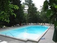 36 Marryat Road Trout Valley, IL 60013 - Photo 22 of 27 a view of swimming pool with a yard