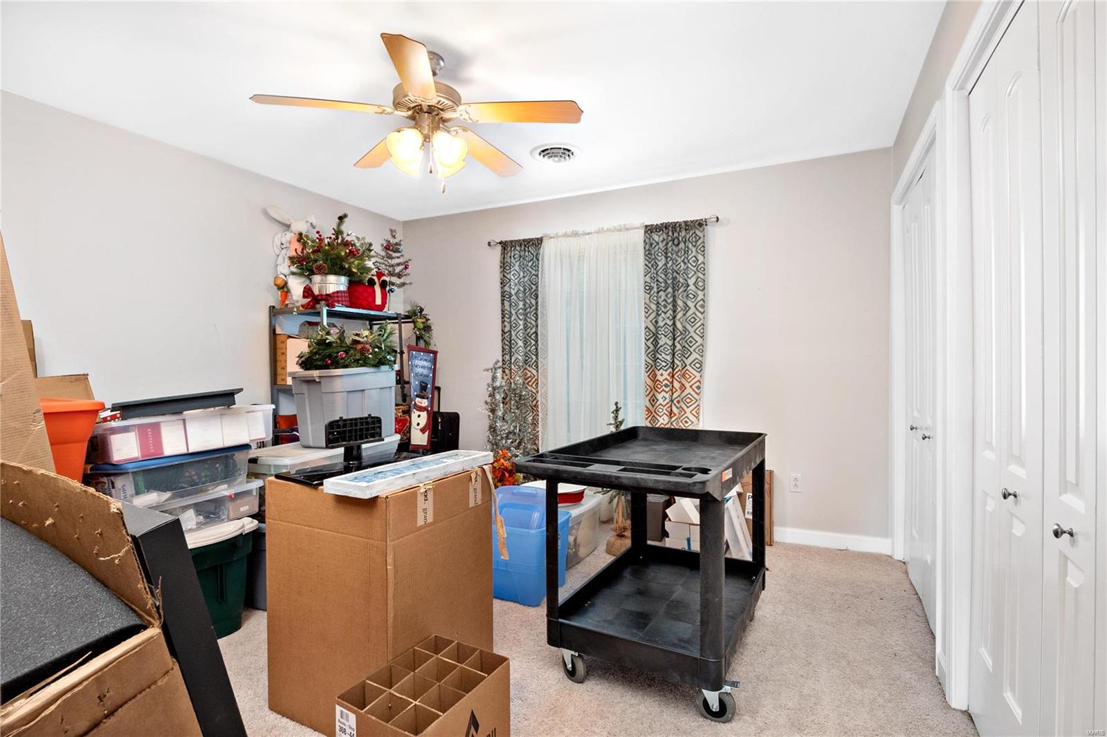 882 Edward Street St. Libory, IL 62282 - Photo 33 of 72