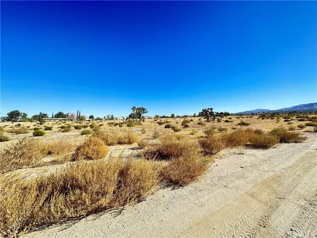 a view of a yard with an ocean view