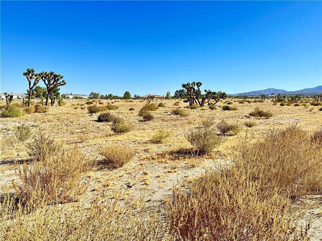 12025 Primavera Road Irvine, CA 92614 - Photo 10 of 14 a view of a yard with an ocean view