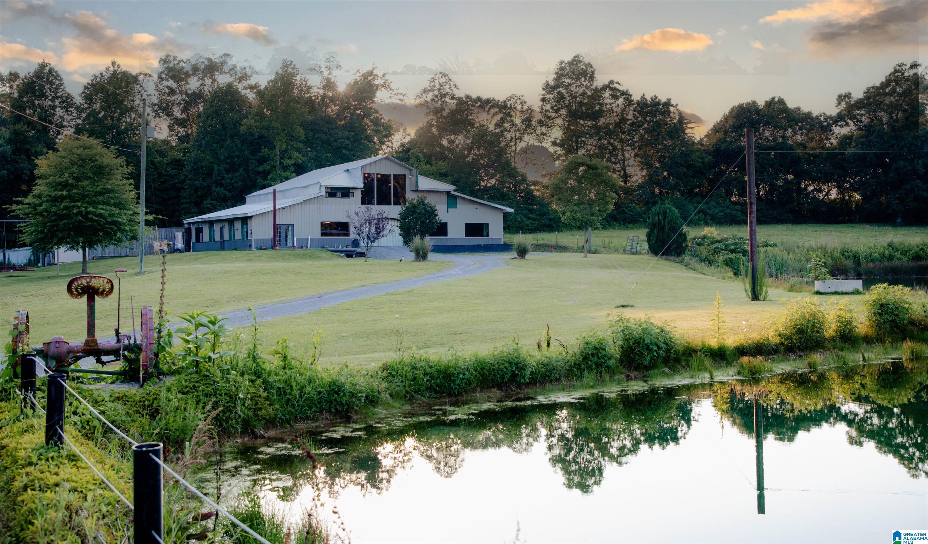 7468 Nixon Chapel Road Horton, AL 35980 - Photo 29 of 31