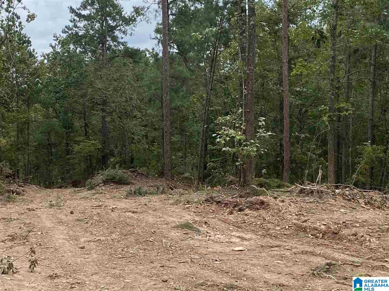 0 County Road 199, Unit 19 / ACRES Clanton, AL 35046 - Photo 13 of 17