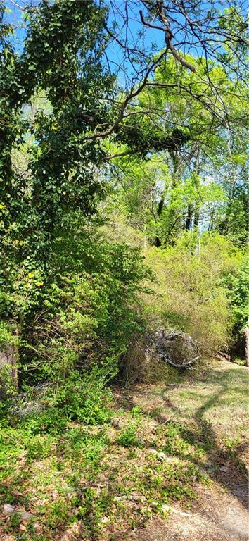 1642 Kersey Valley Road Archdale, NC 27263 - Photo 27 of 34