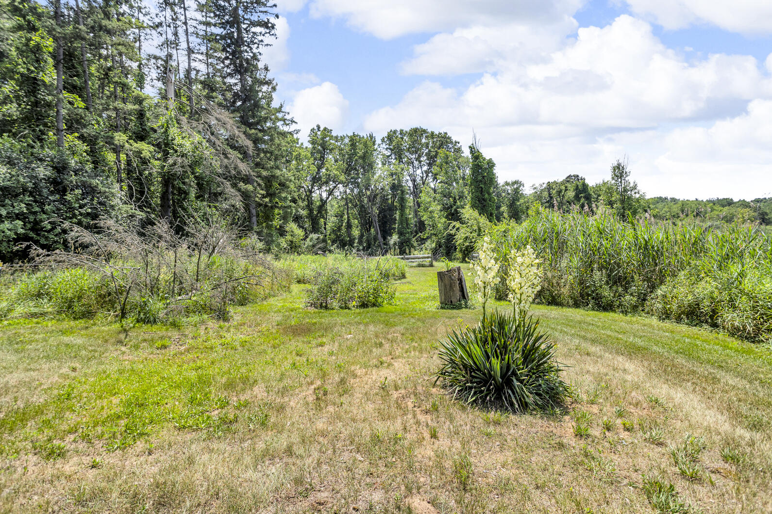 4500 South Jackson Road Jackson, MI 49201 - Photo 7 of 105 0N0A0543