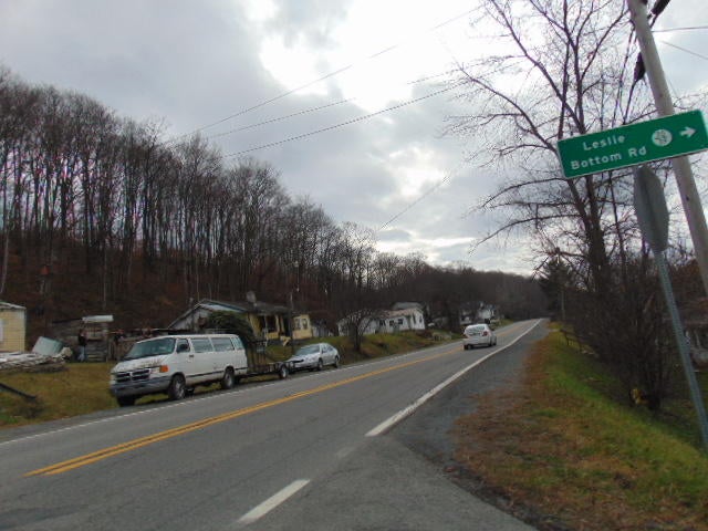 Gallery Image 5