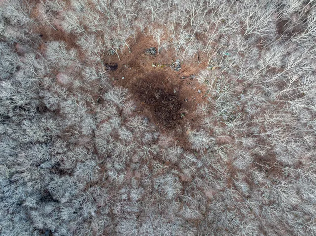 a view of a dry yard