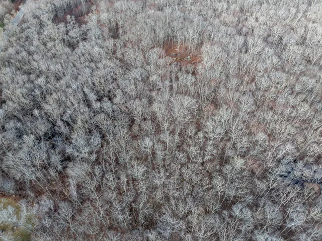 a view of a dry field