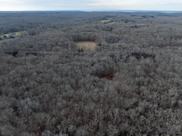 a view of a dry yard with green space and fog