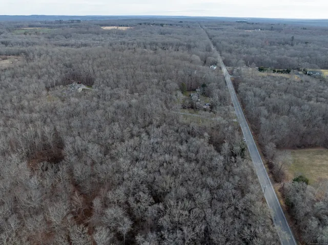 a view of a dry yard with trees