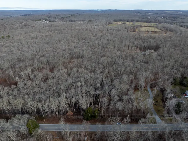 a view of a dry yard
