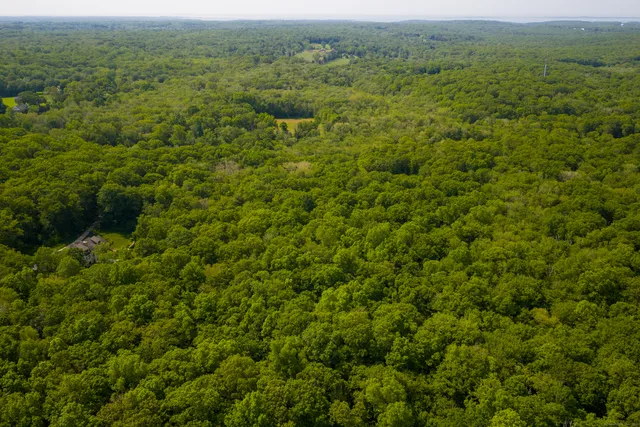 a view of a big yard with lots of trees