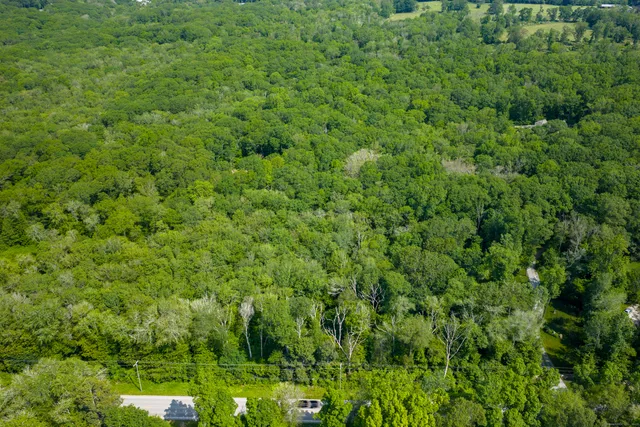a view of a lush green field
