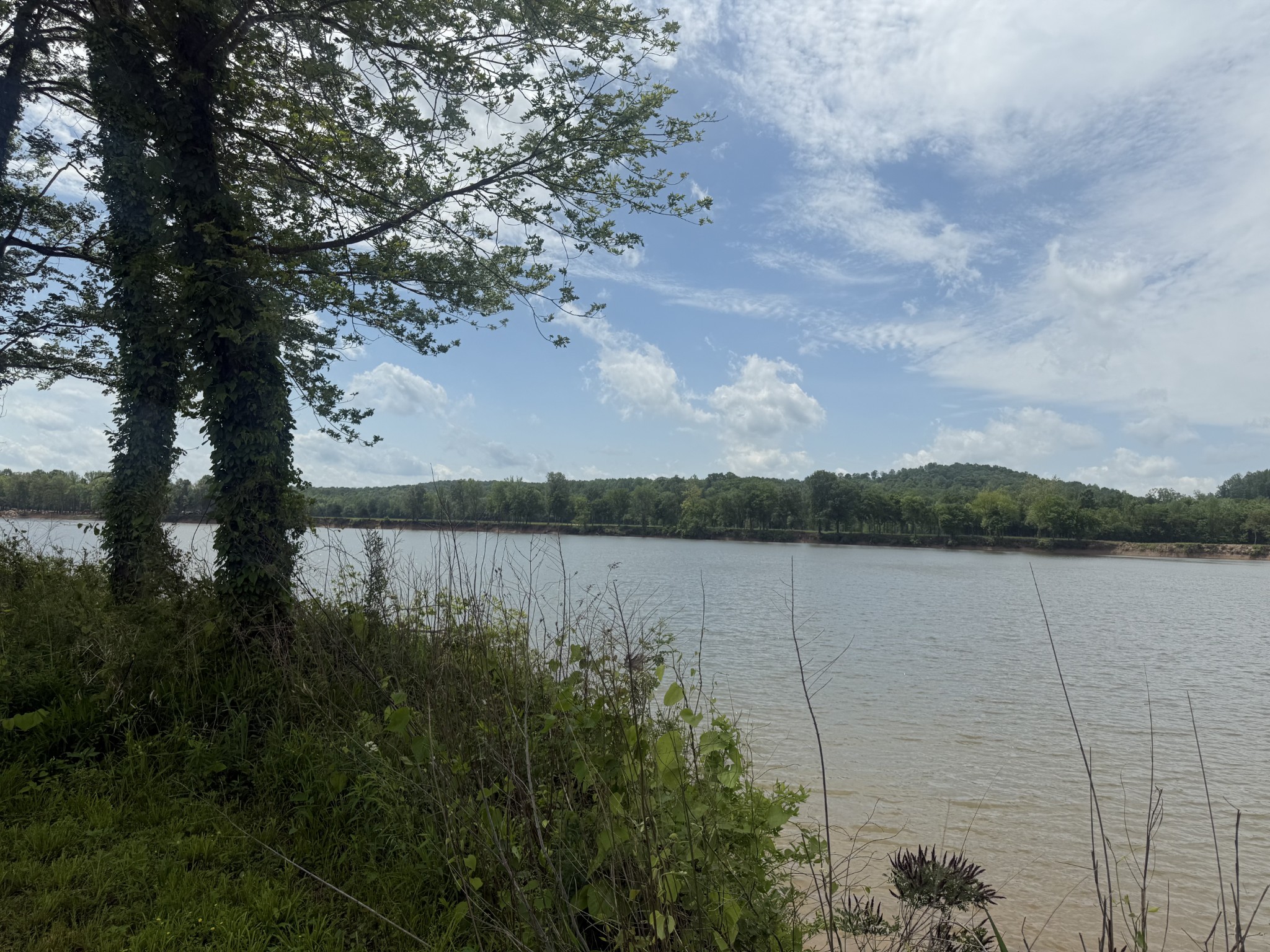 a view of a lake from a yard