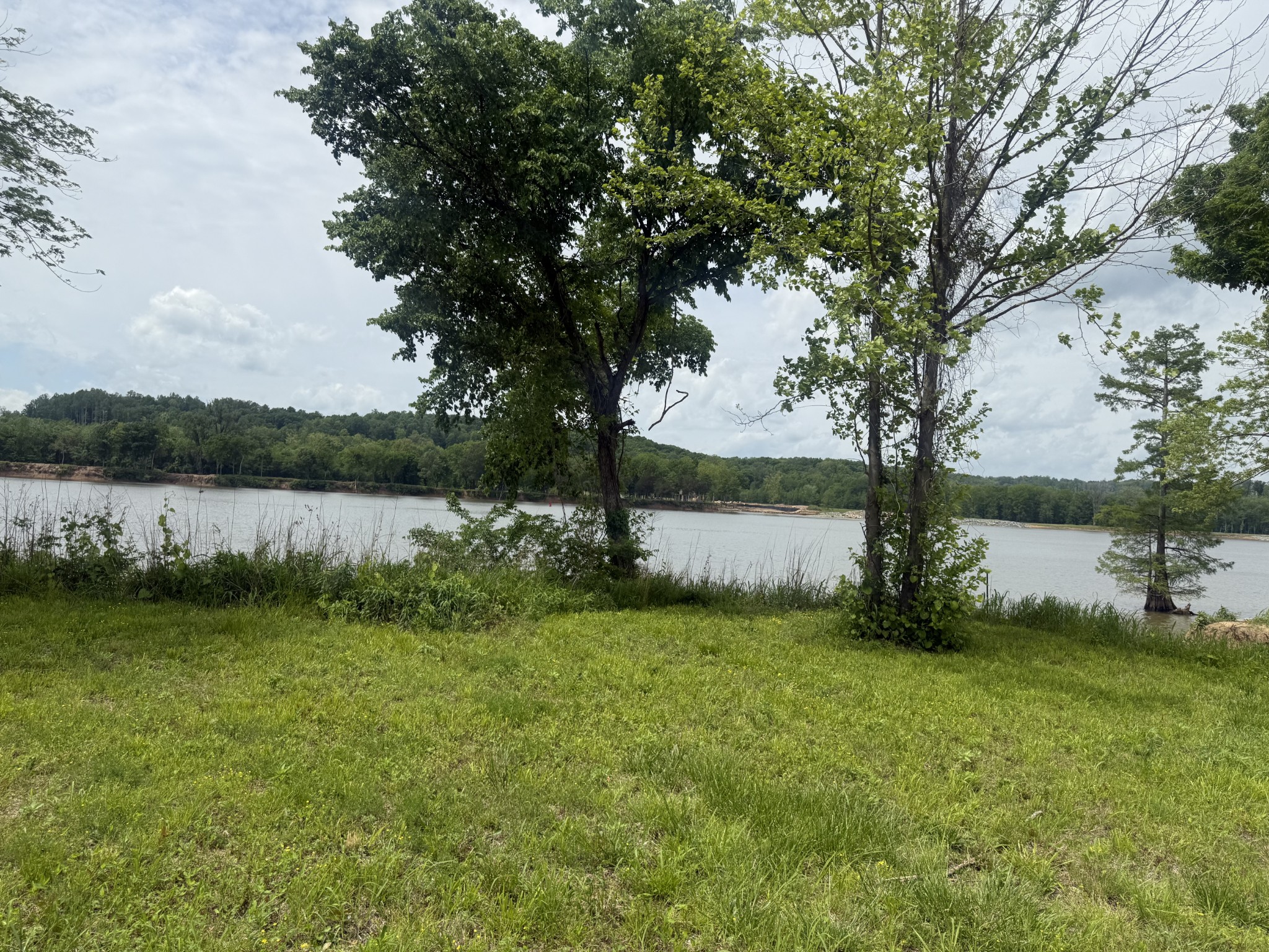 167 Hardin Bottom River Road Clifton, TN 38425 - Photo 12 of 26 a view of a lake with a big yard
