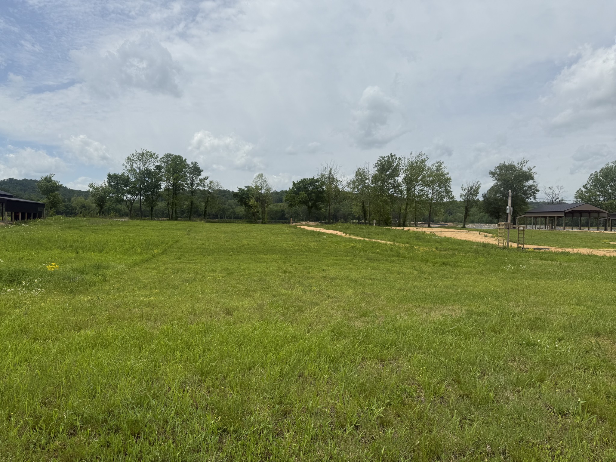 167 Hardin Bottom River Road Clifton, TN 38425 - Photo 16 of 26 a view of a golf course with a lake