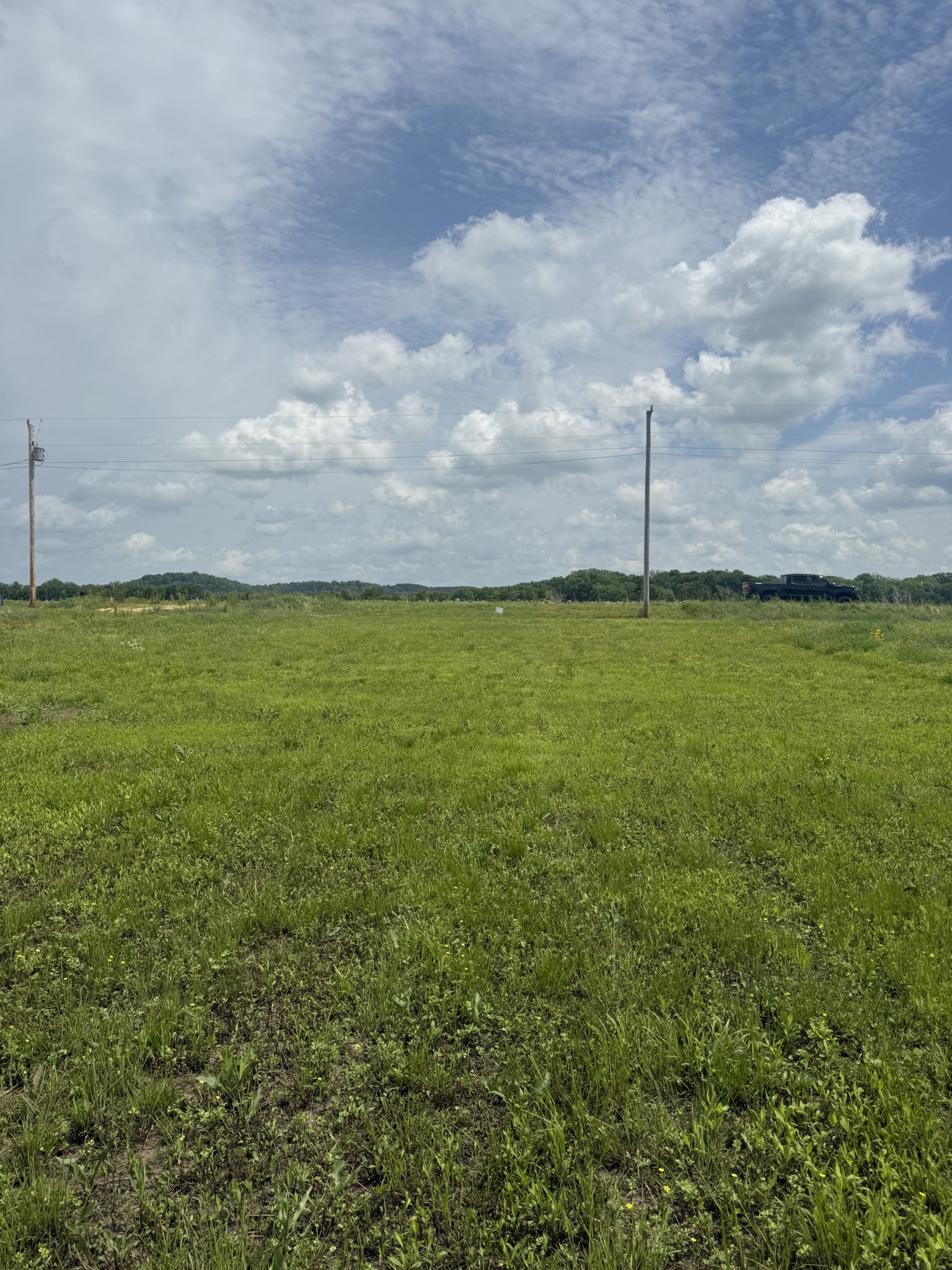 167 Hardin Bottom River Road Clifton, TN 38425 - Photo 17 of 26 a view of a water covered with lots of green space