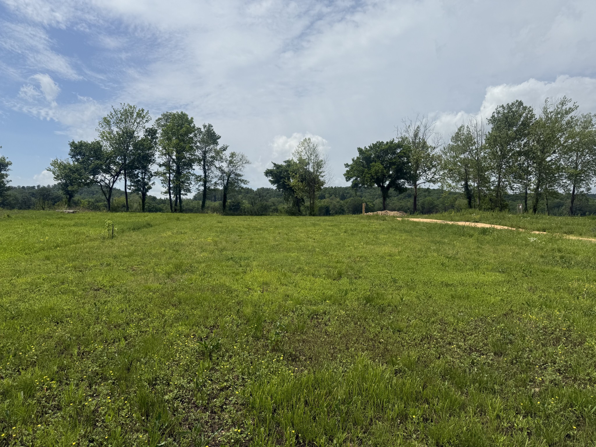 167 Hardin Bottom River Road Clifton, TN 38425 - Photo 18 of 26 a view of a field with trees in the background