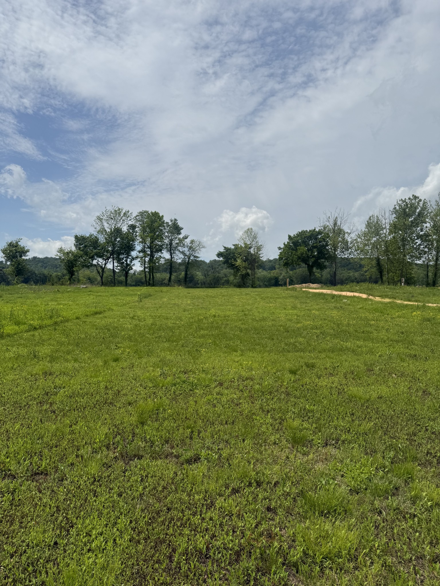 167 Hardin Bottom River Road Clifton, TN 38425 - Photo 19 of 26 a view of a green field with wooden fence