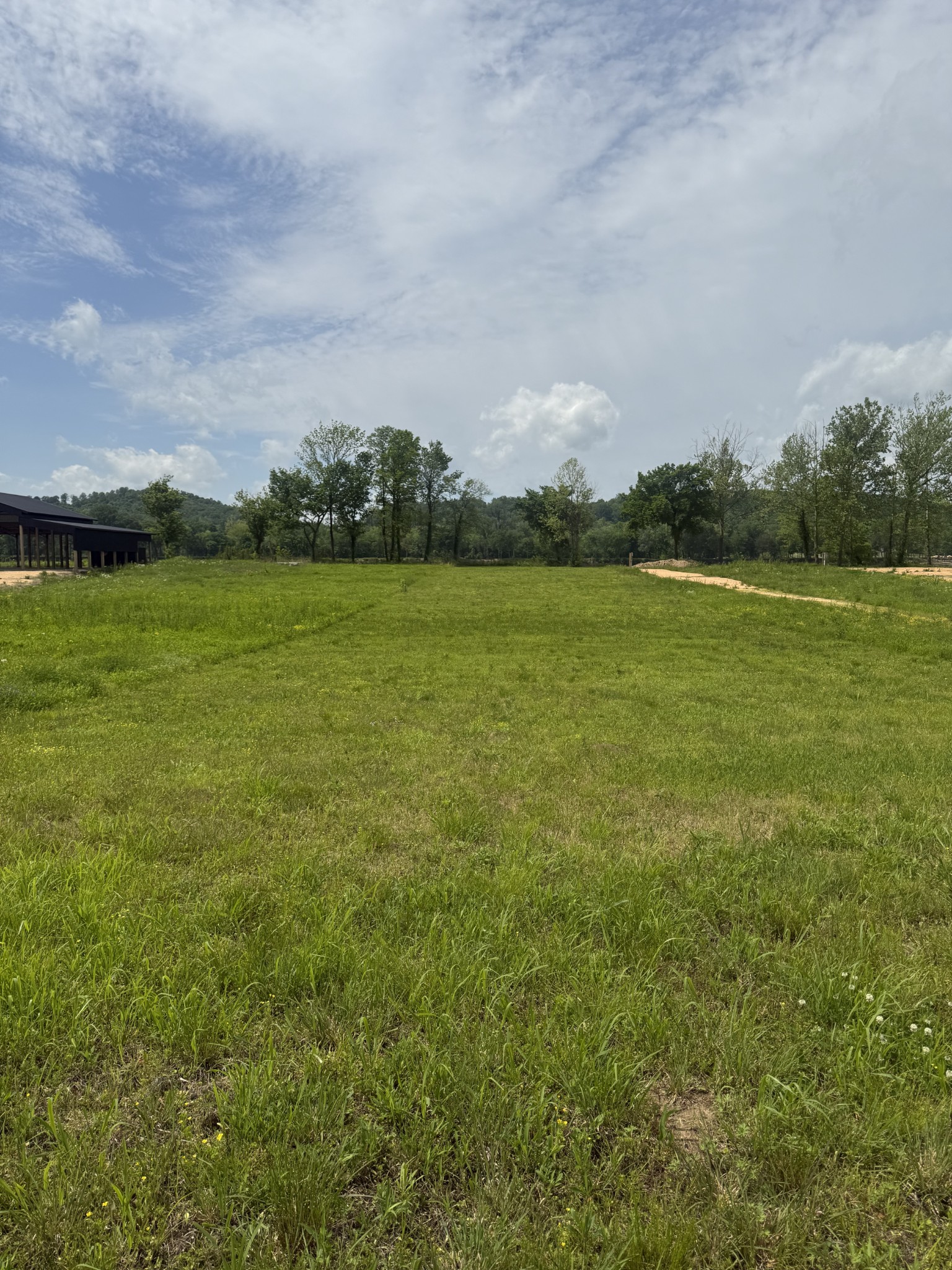 167 Hardin Bottom River Road Clifton, TN 38425 - Photo 20 of 26 a view of an ocean from a yard