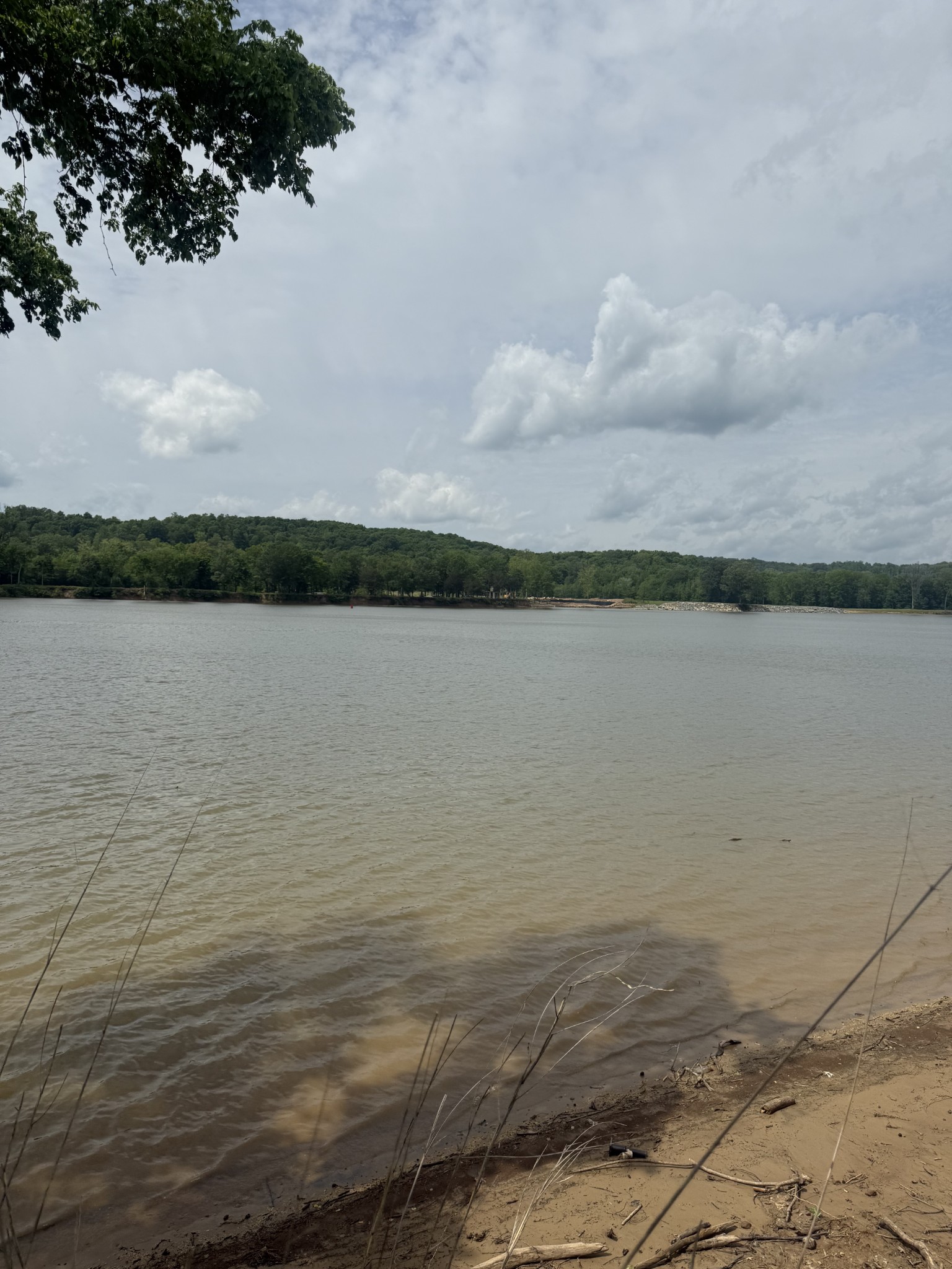 167 Hardin Bottom River Road Clifton, TN 38425 - Photo 2 of 26 a view of a lake view