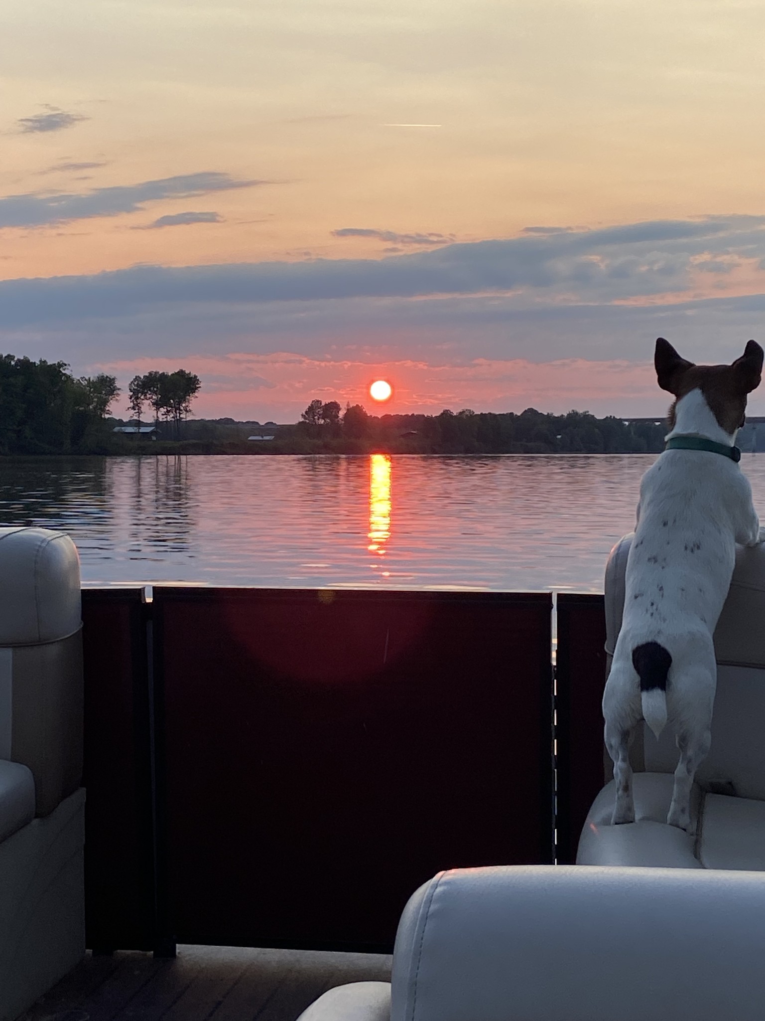 167 Hardin Bottom River Road Clifton, TN 38425 - Photo 23 of 26 a view of a lake from a balcony