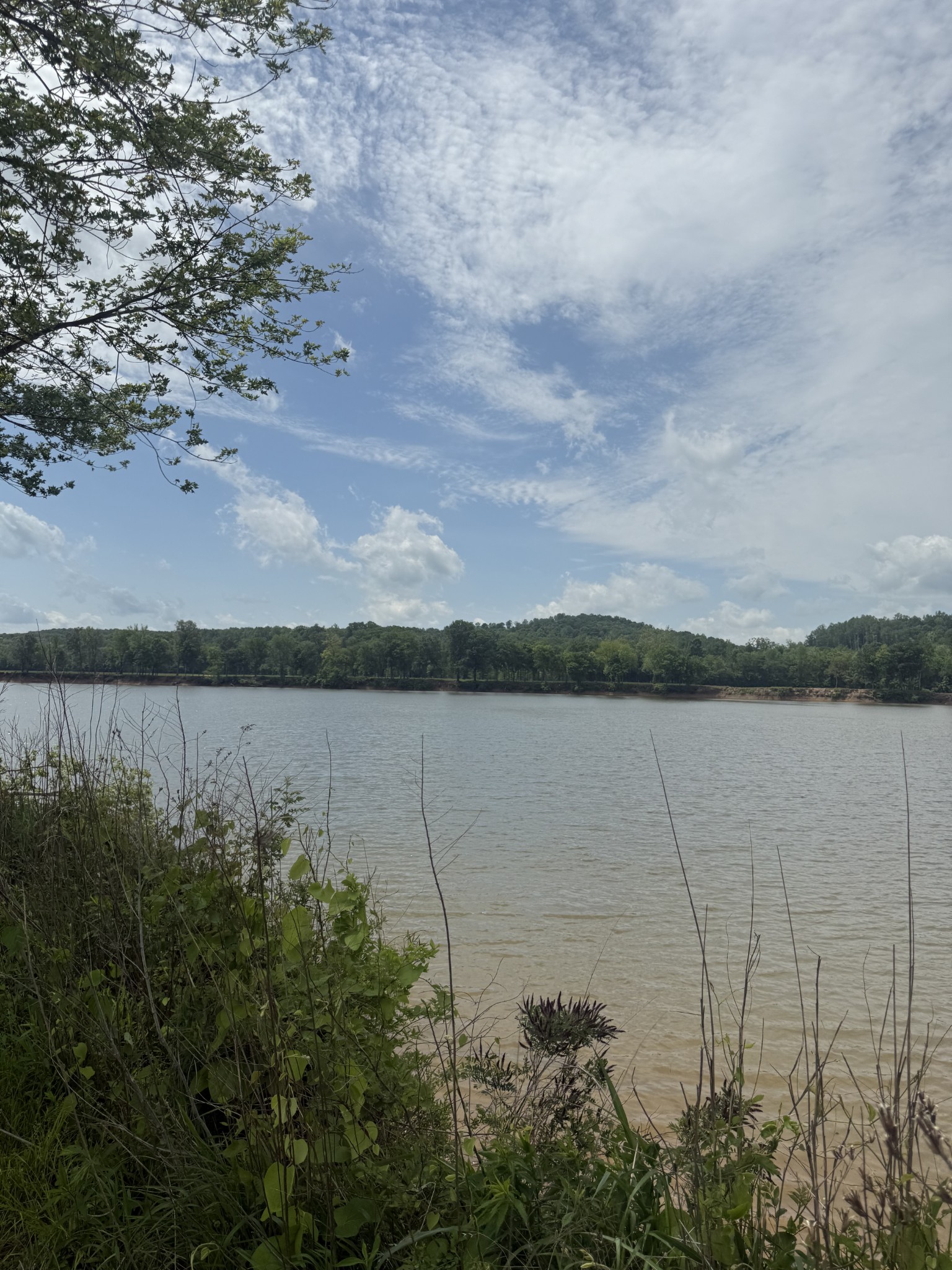 167 Hardin Bottom River Road Clifton, TN 38425 - Photo 3 of 26