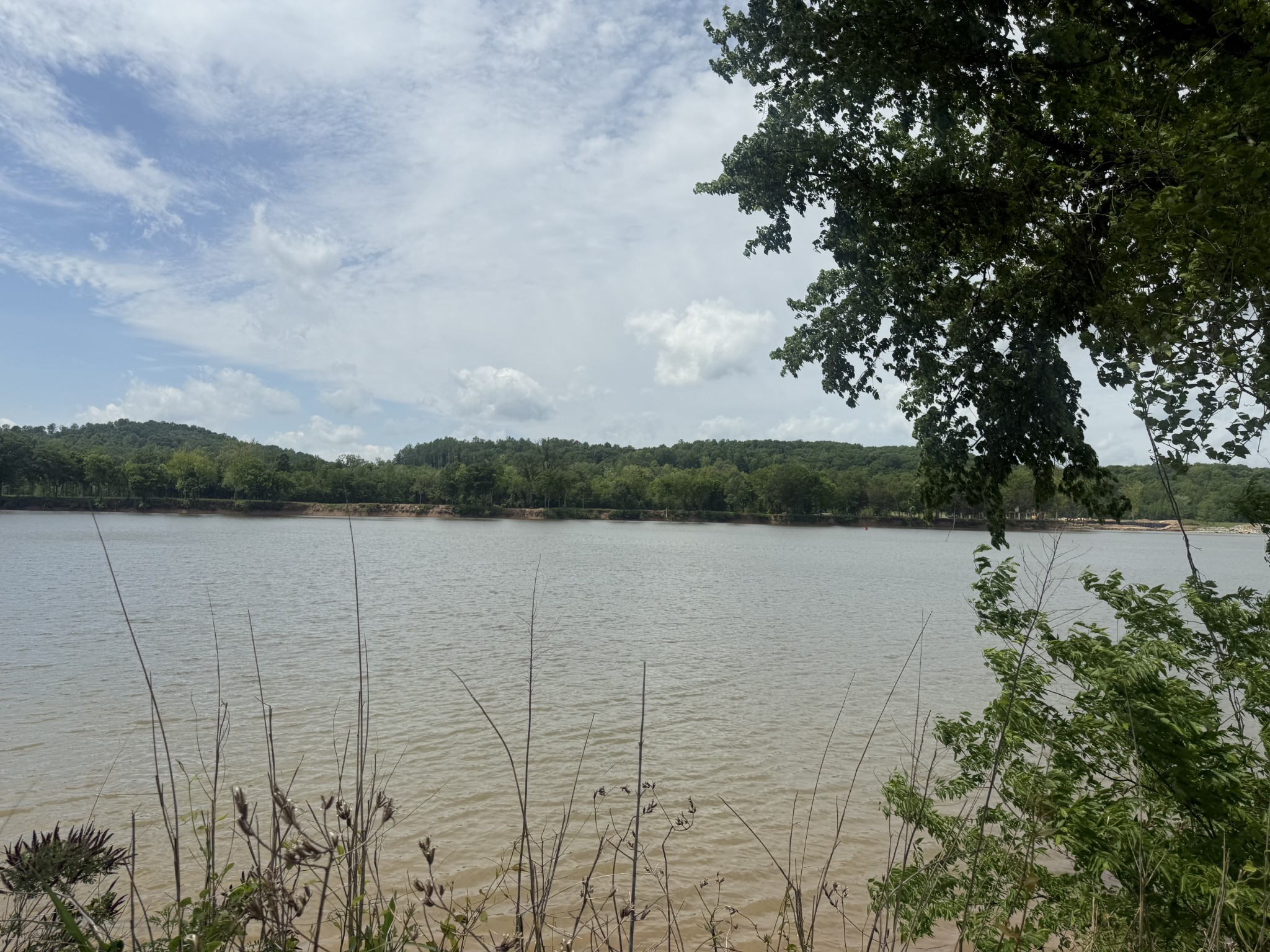 167 Hardin Bottom River Road Clifton, TN 38425 - Photo 5 of 26