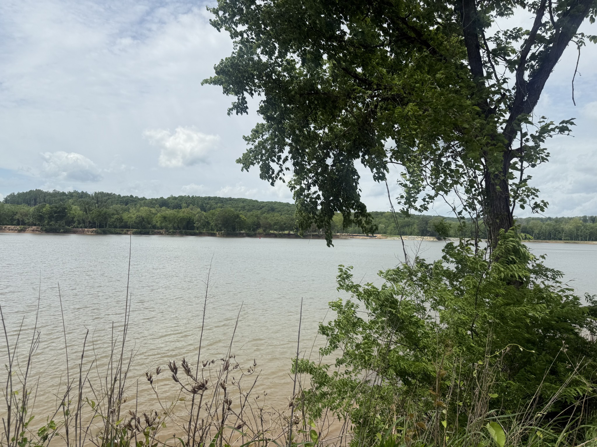 167 Hardin Bottom River Road Clifton, TN 38425 - Photo 6 of 26 a view of lake with green space