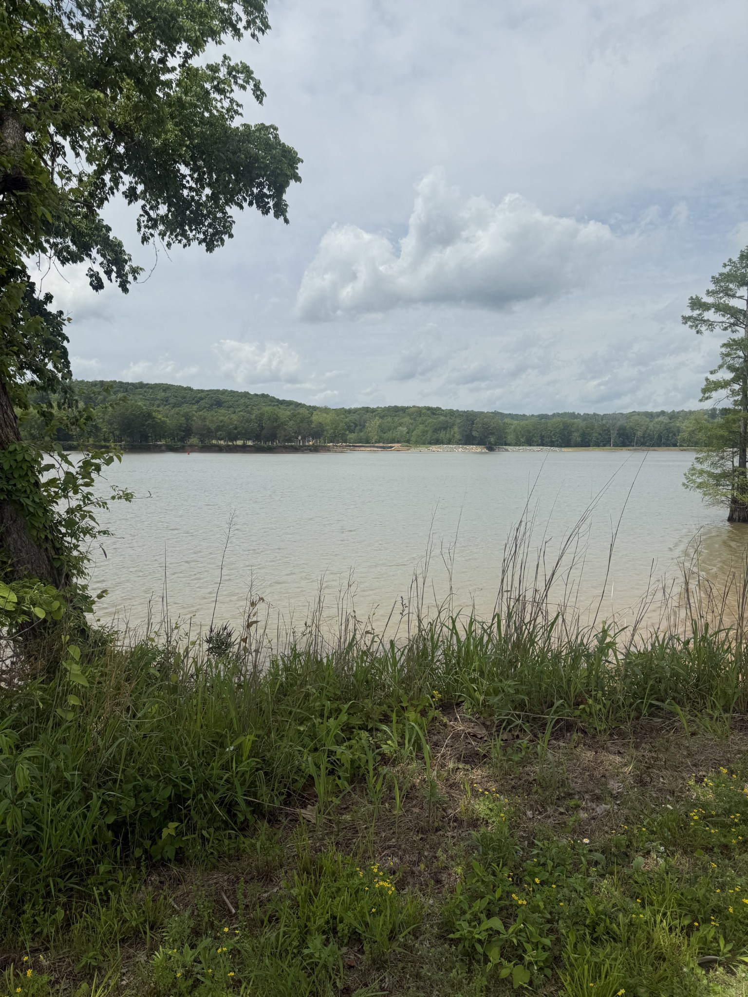 167 Hardin Bottom River Road Clifton, TN 38425 - Photo 7 of 26 a view of a lake