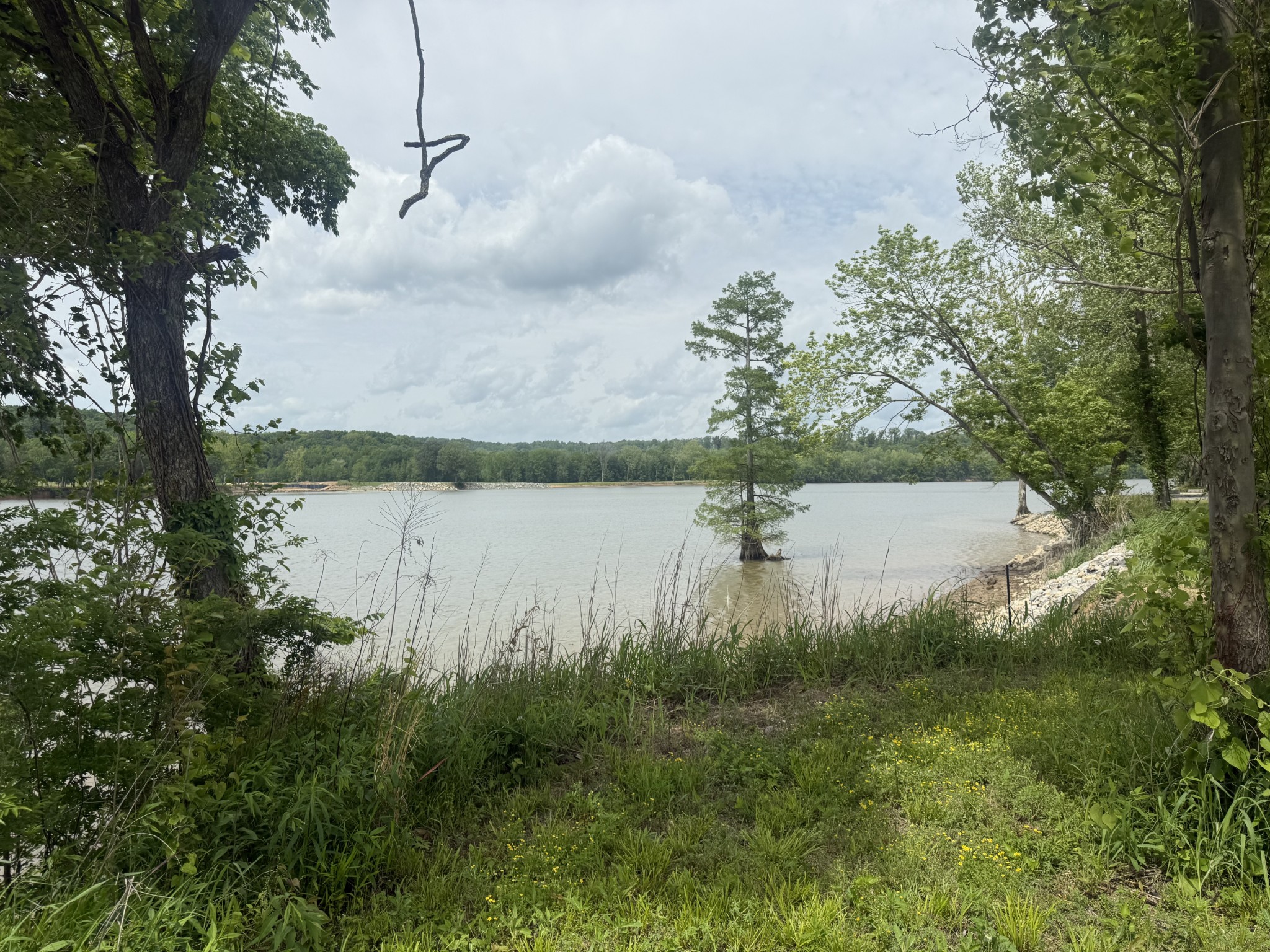167 Hardin Bottom River Road Clifton, TN 38425 - Photo 8 of 26 a view of a lake from a yard