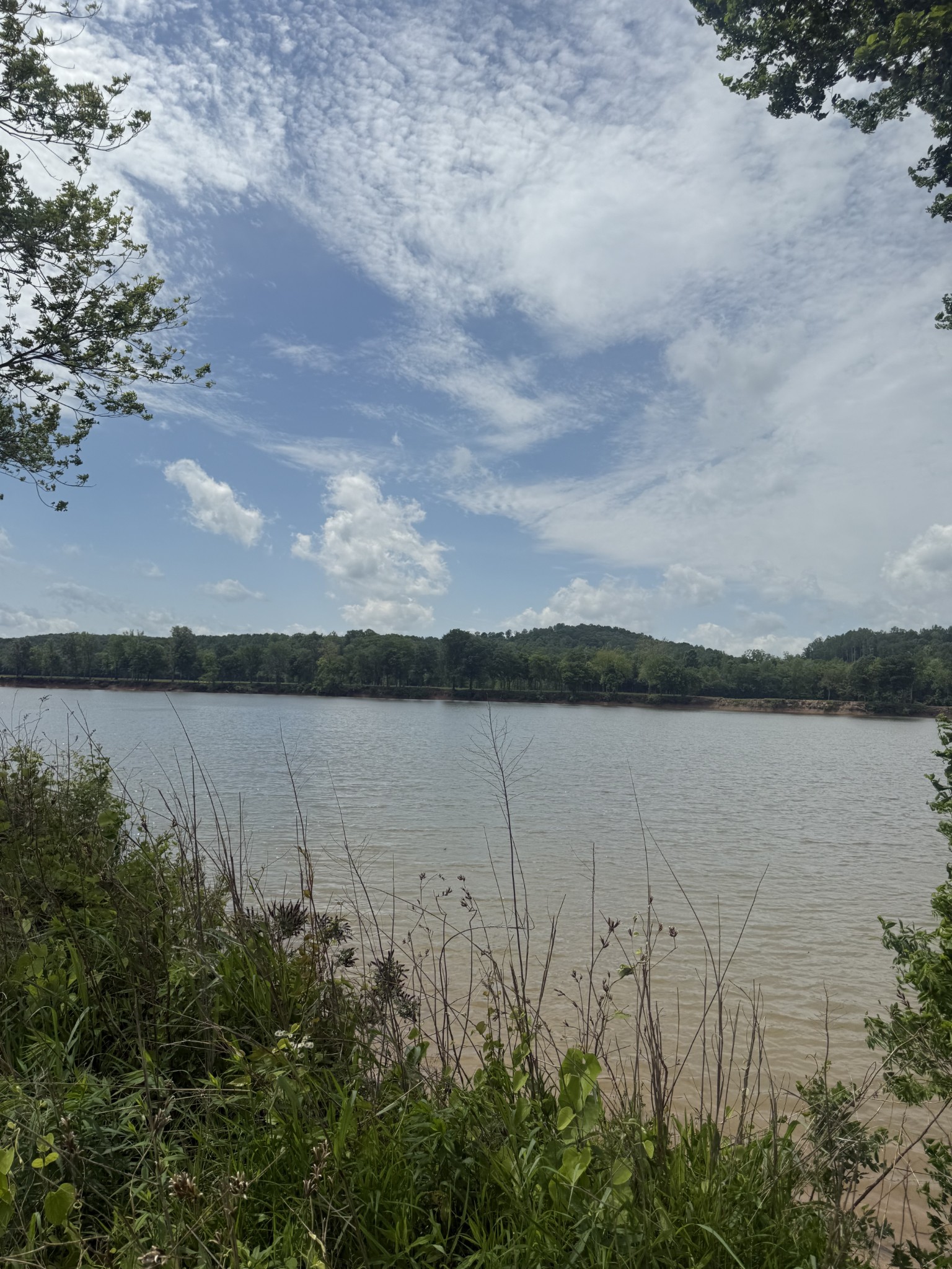 167 Hardin Bottom River Road Clifton, TN 38425 - Photo 9 of 26 a view of lake
