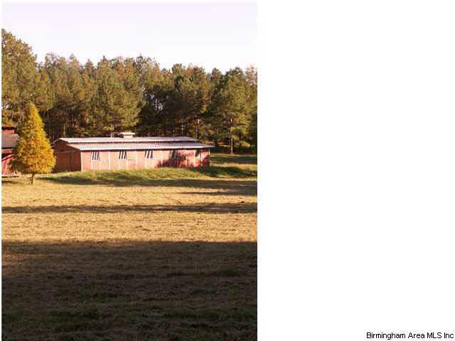472 Wolf Creek Road Pell City, AL 35128 - Photo 15 of 15