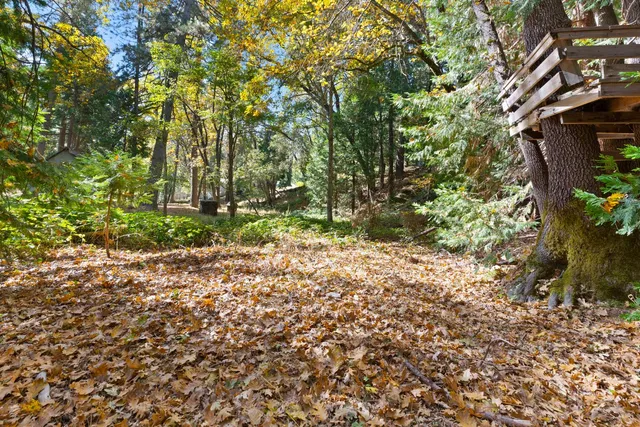 $309,000 | 17873 Lark Drive, Twain Harte, CA 95383