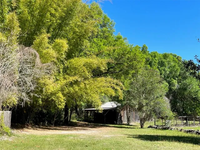 a view of empty room with wooden floor and a floor to ceiling window