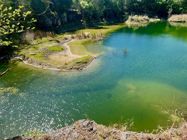 a view of yard with trees