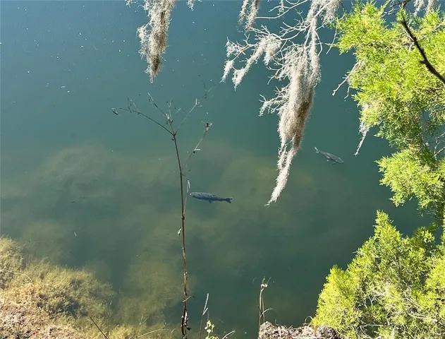 a living room with wooden floor